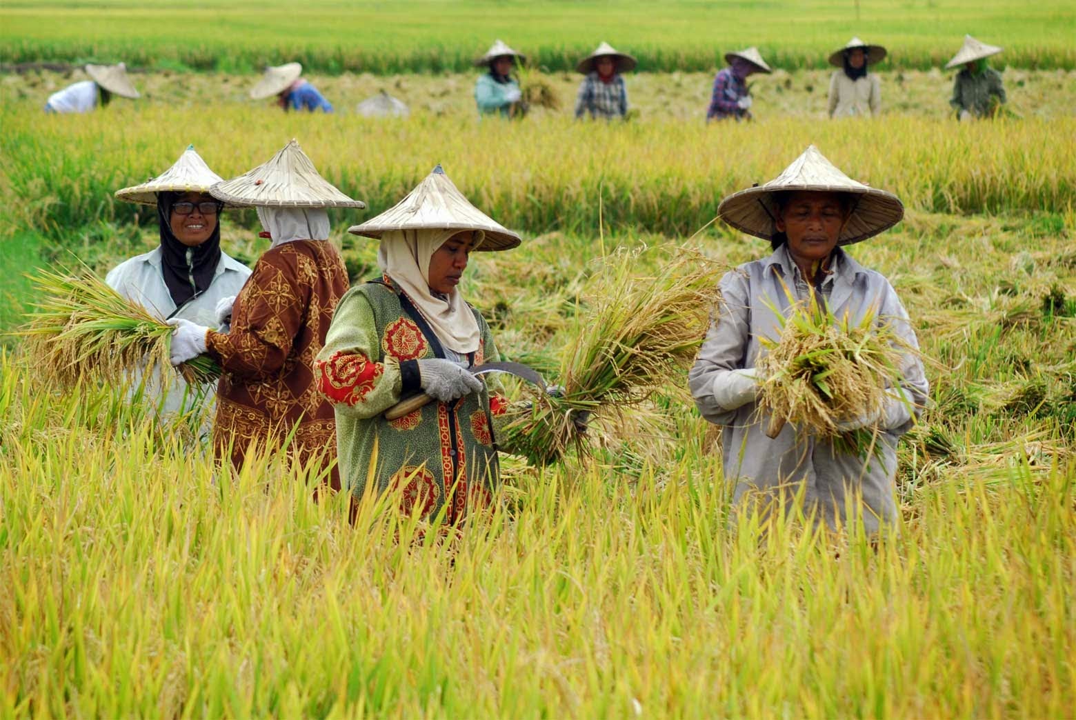 MUSYAWARAH DESA PERENCANAAN PEMBANGUNAN TAHUNAN DAN SOSIALISASI MUSRENBANGDES TAHUN 2023 UNTUK RKPDe